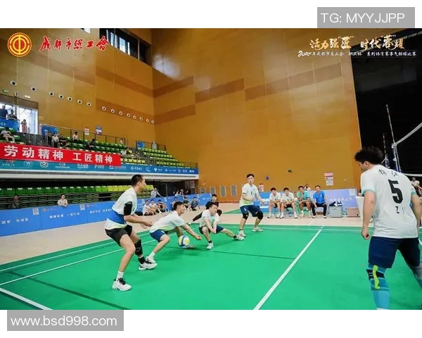 排球专题：聚焦成都排球队的耐力