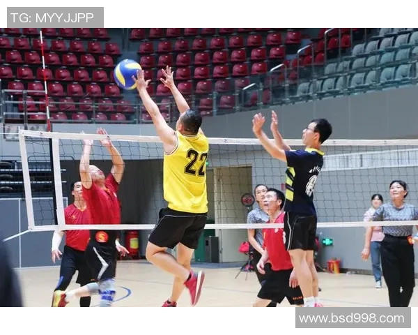 权威发布：排球个人能力实力榜单