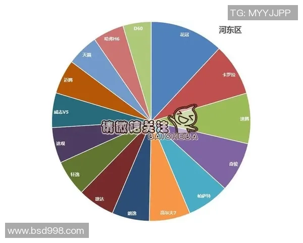 独家分析:南京攀岩队的力量对比 独家分析:南京攀岩队的力量对比